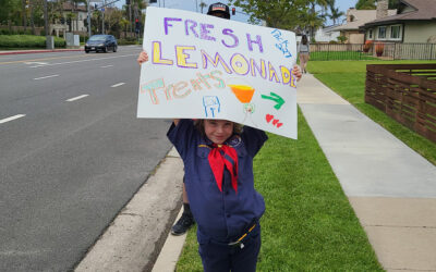 PACK 227 Lemonade Stand 2023