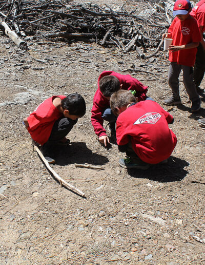 Camp Tahquitz 2024 Pack 227